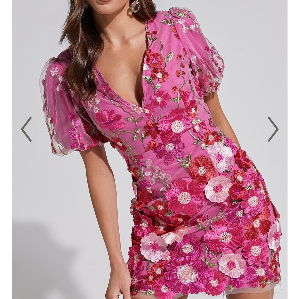 Showpo Floral Mini Dress